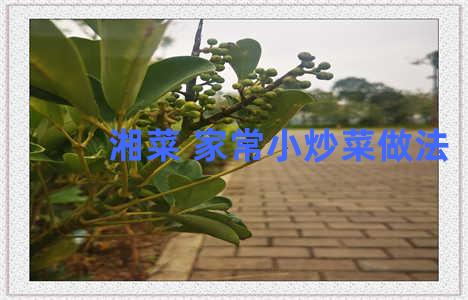 湘菜 家常小炒菜做法